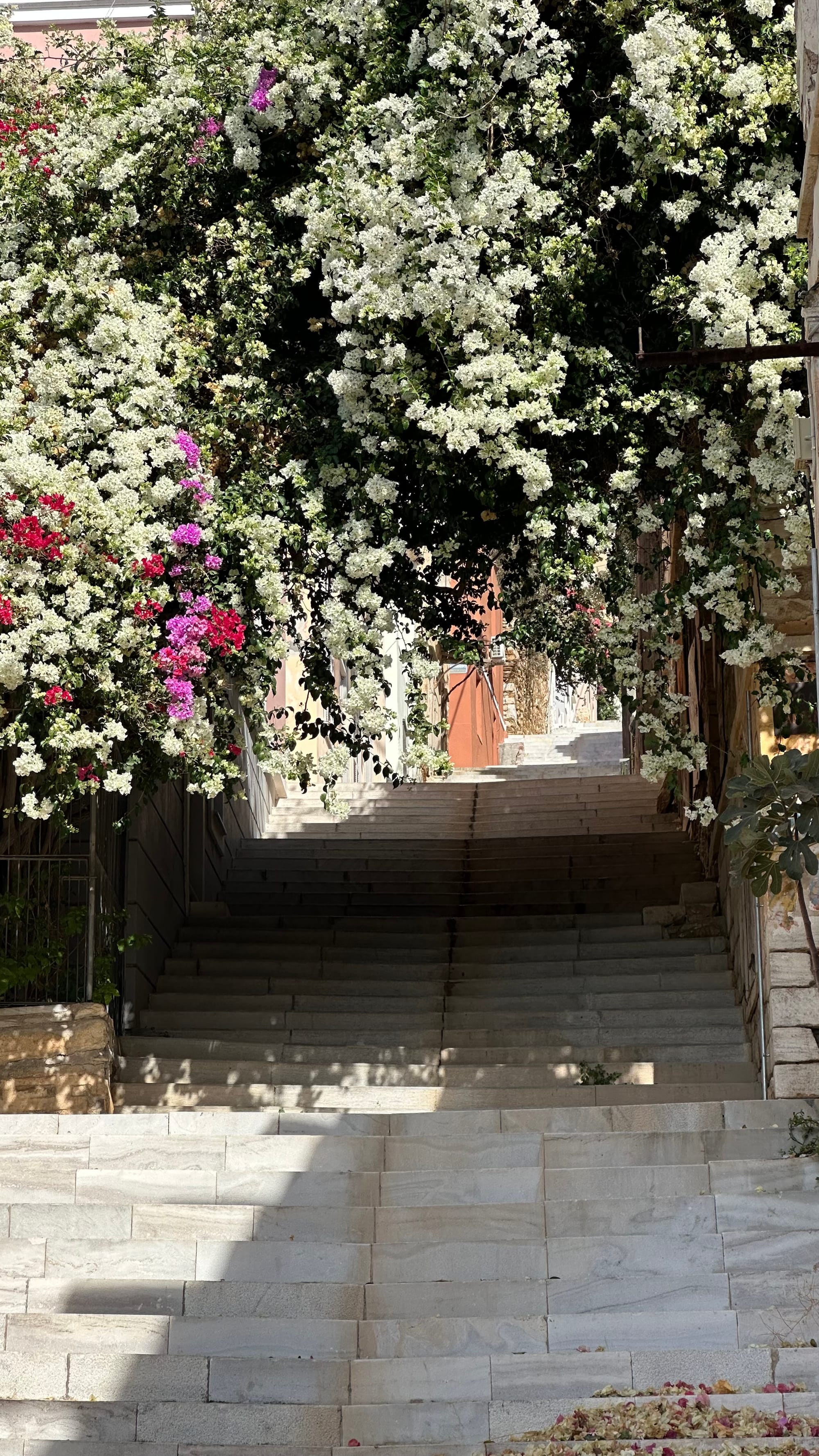 Zu dritt von Leros auf die Kykladen