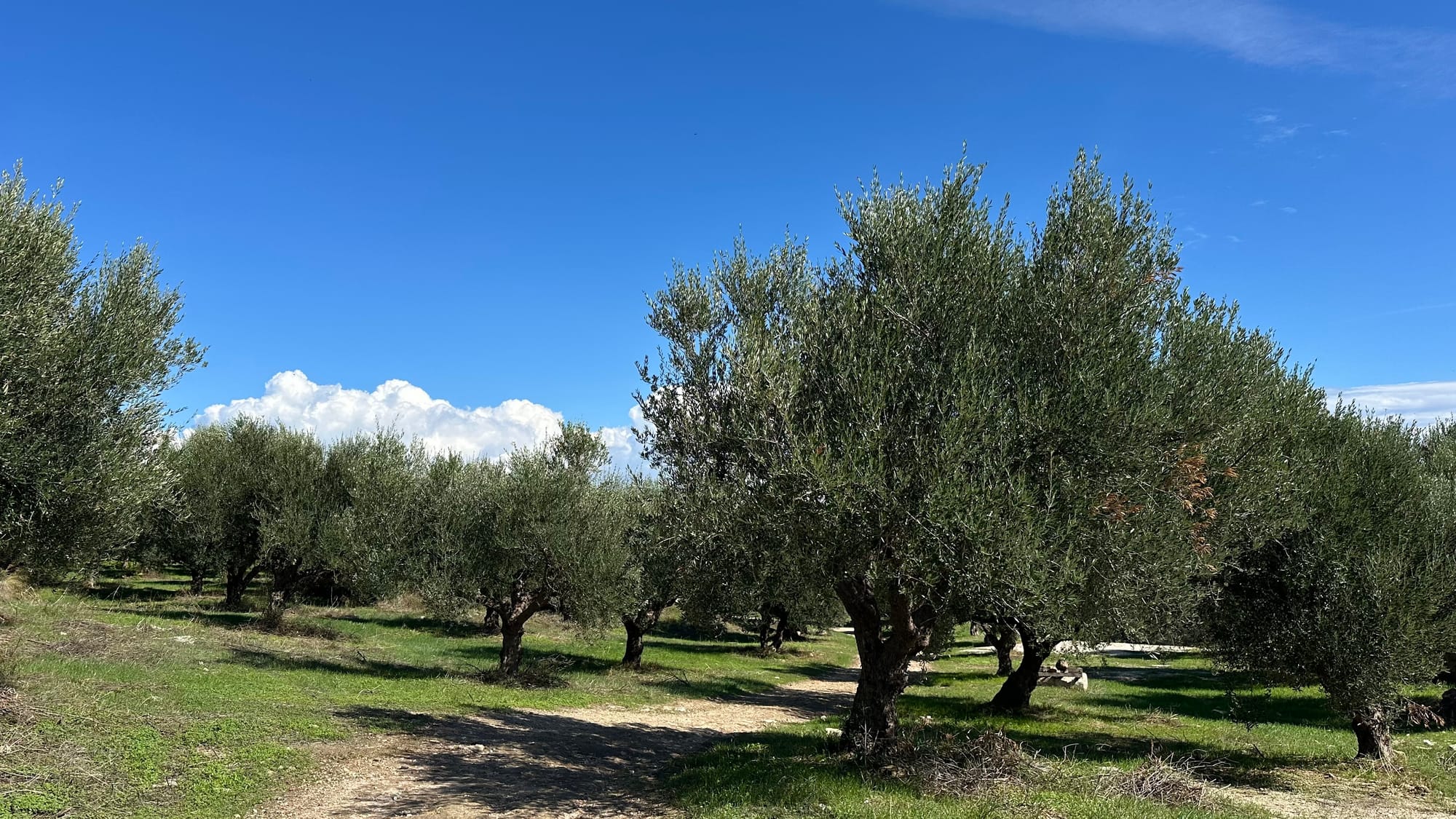Entlang der Westküste des Peloponnes