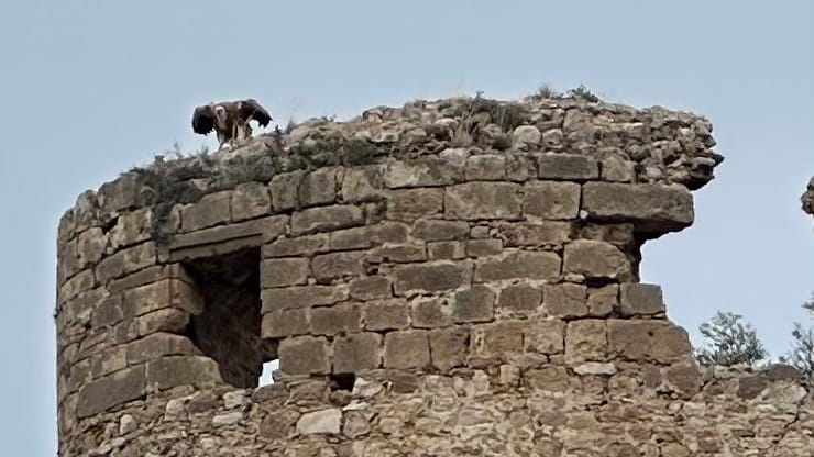 Entlang der Westküste des Peloponnes