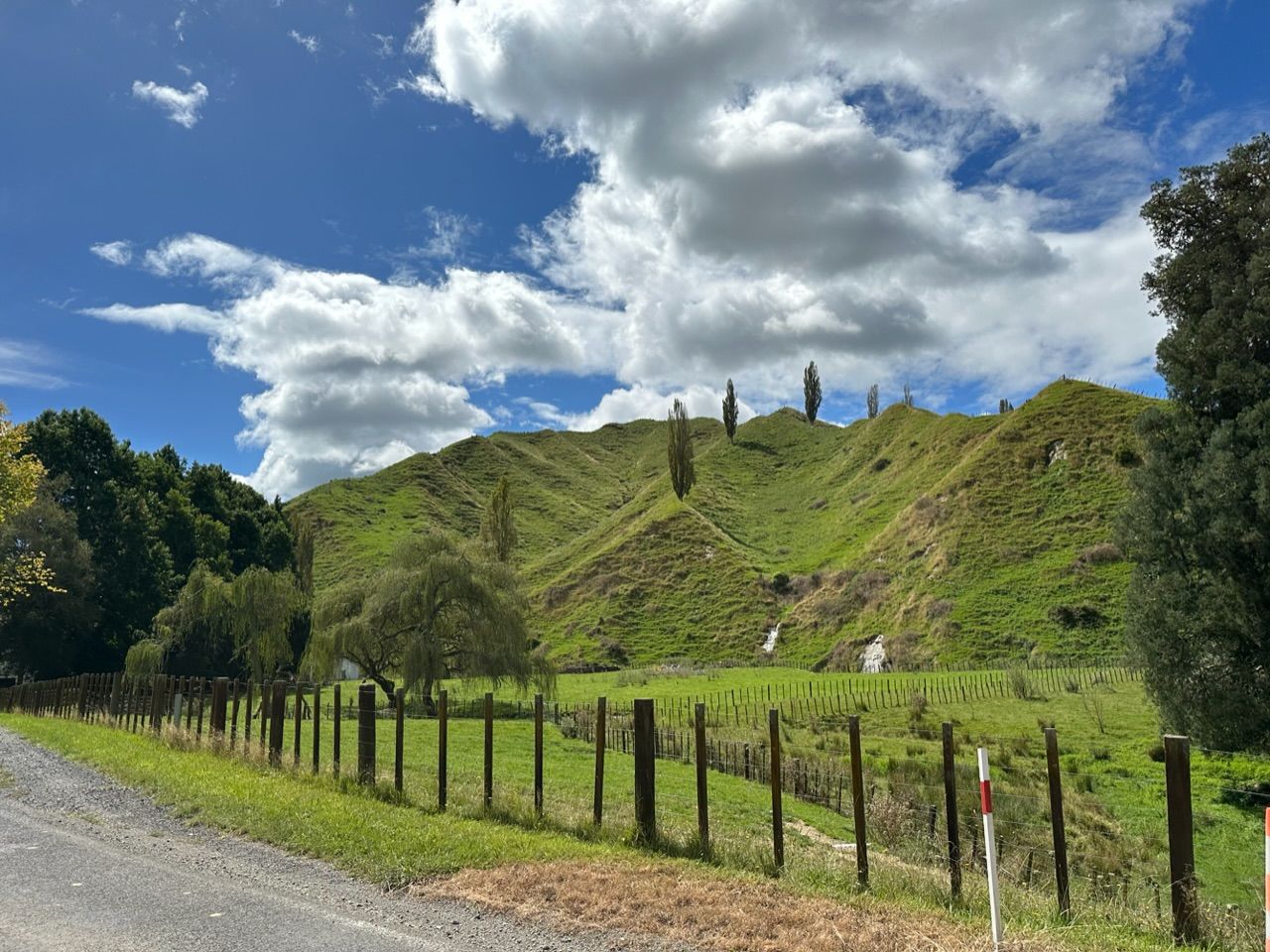 The Forgotten World Highway